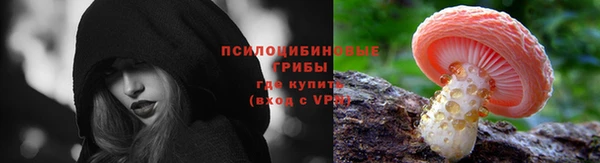 амф Струнино