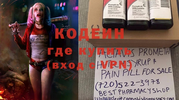 ГАЛЛЮЦИНОГЕННЫЕ ГРИБЫ Тайга