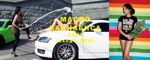 гашик Тавда