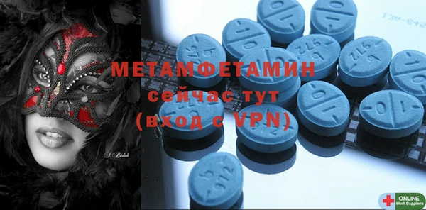 ГАЛЛЮЦИНОГЕННЫЕ ГРИБЫ Тайга