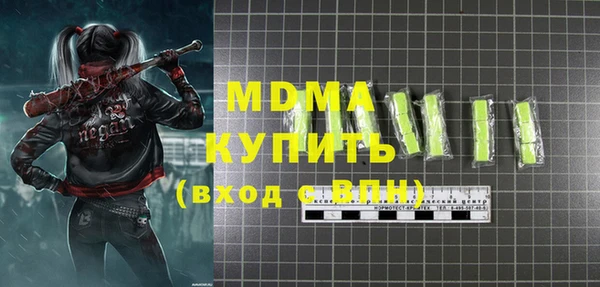 ГАЛЛЮЦИНОГЕННЫЕ ГРИБЫ Тайга