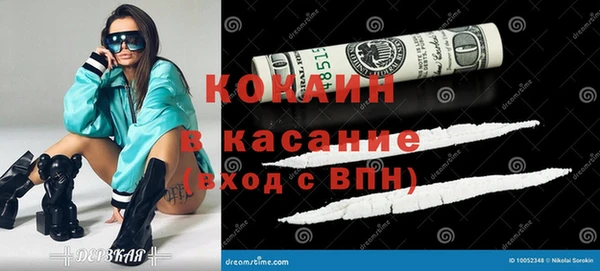 ГАЛЛЮЦИНОГЕННЫЕ ГРИБЫ Тайга
